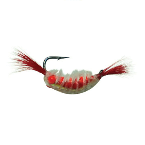 Kenders Tungsten Red Eye Shrimp Jig