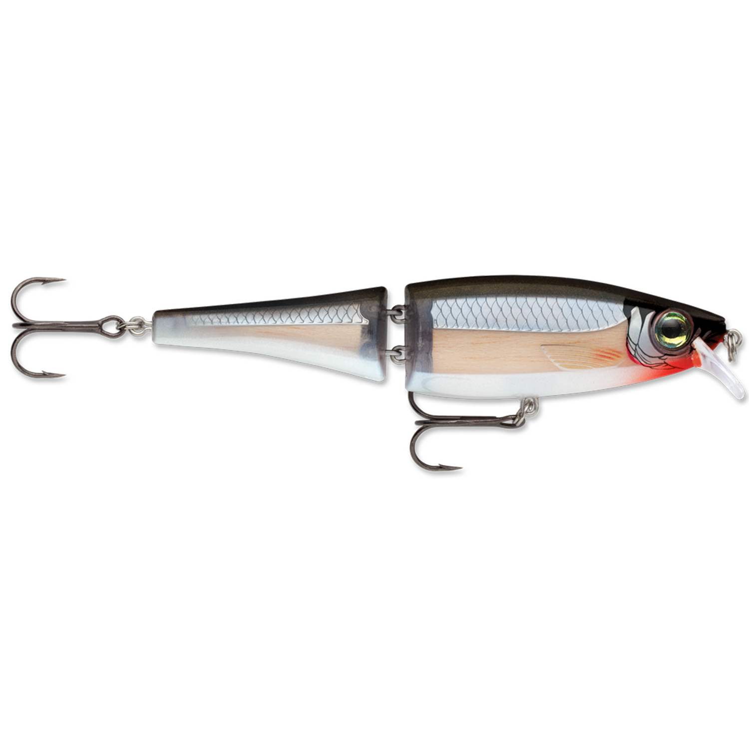 Rapala BX Swimmer (10526588557)