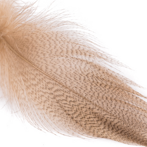 Wapsi Mallard Barred Flank