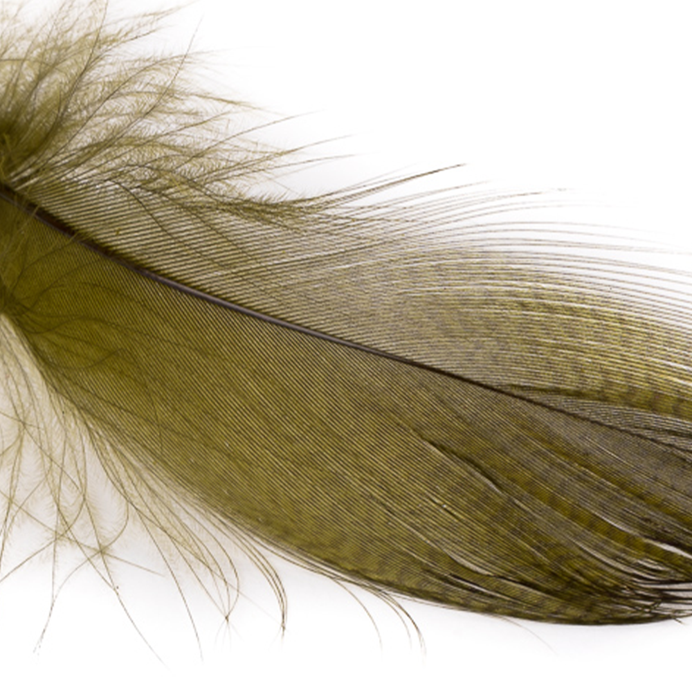 Wapsi Mallard Barred Flank