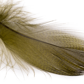 Wapsi Mallard Barred Flank