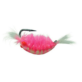 Kenders Tungsten Red Eye Shrimp Jig