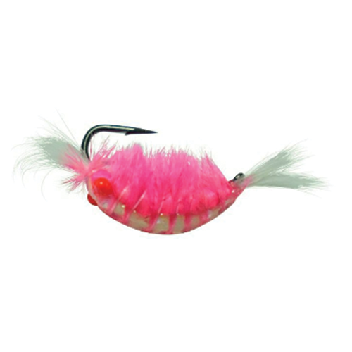 Kenders Tungsten Red Eye Shrimp Jig