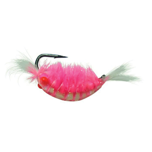 Kenders Tungsten Red Eye Shrimp Jig, White/Pink