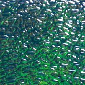 WTP Lure Tape-Crushed Pearl (2 Pack)