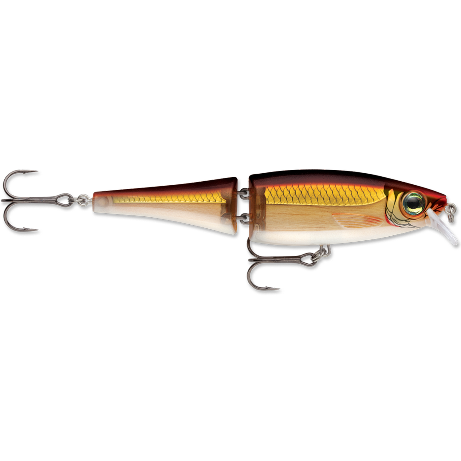 Rapala BX Swimmer (10526588557)