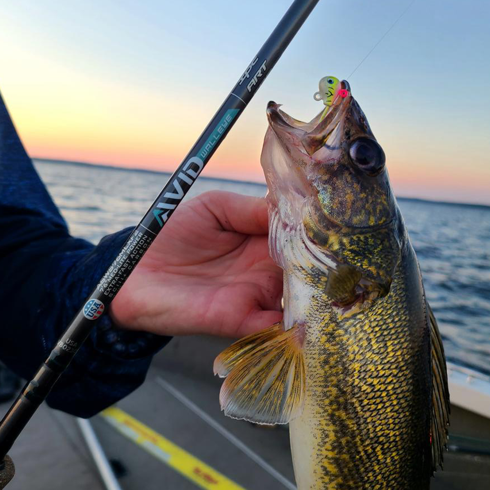 Top walleye rods