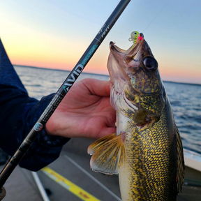 St. Croix Avid Walleye - Spinning