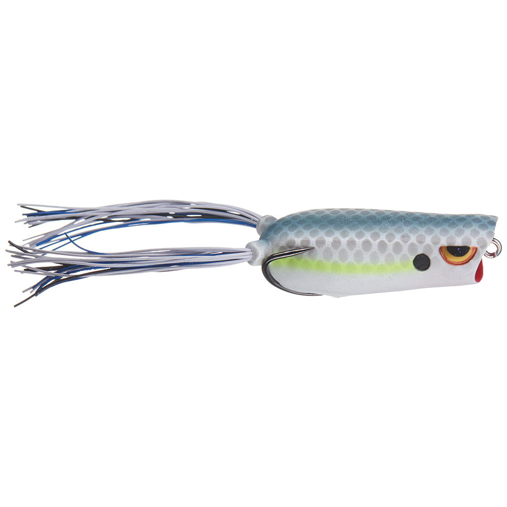 Spro Bronzeye Pop Bait, Pack of 1, Nasty Shad, Topwater Lures -   Canada