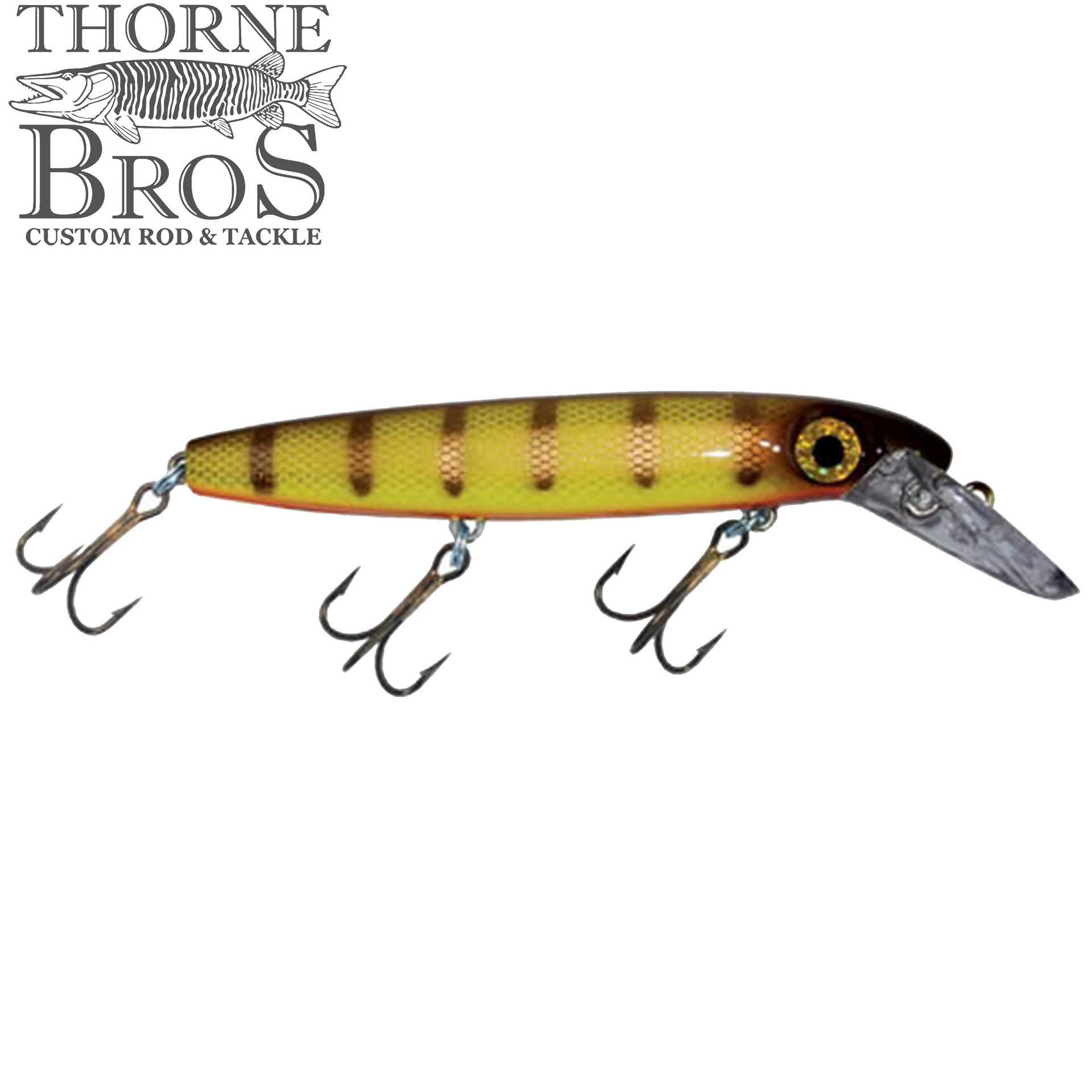 Bucher Depth Raider 6