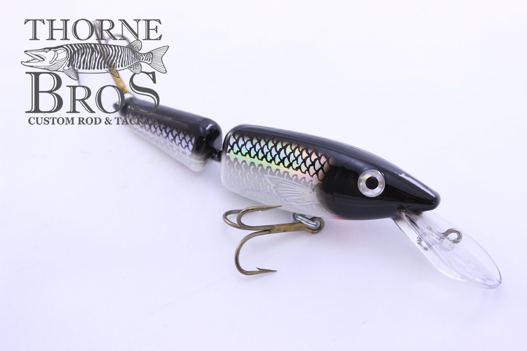 Bass Pro Shops Johnny Morris Extreme Performance Series Baitcast Reel  JMX10HFA | eBay