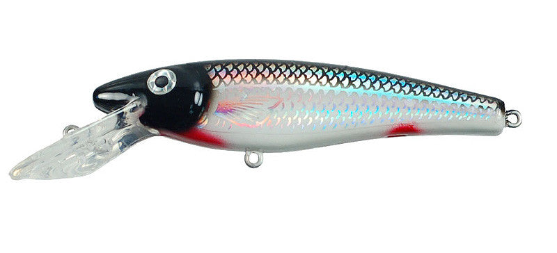 Musky Mania Lil' Ernie (7059538817)