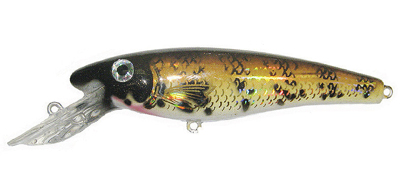 Musky Mania Lil' Ernie (7059538817)