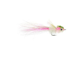 Murdich Minnow (10309273101)