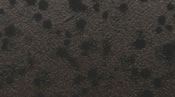 Skirts Plus Natures Edge (10 Pack)