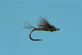 Baetis CDC Emerger