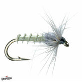 BWO Biot Emerger