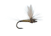 BWO Winger Parachute