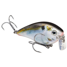 Strike King KVD Wake Bait