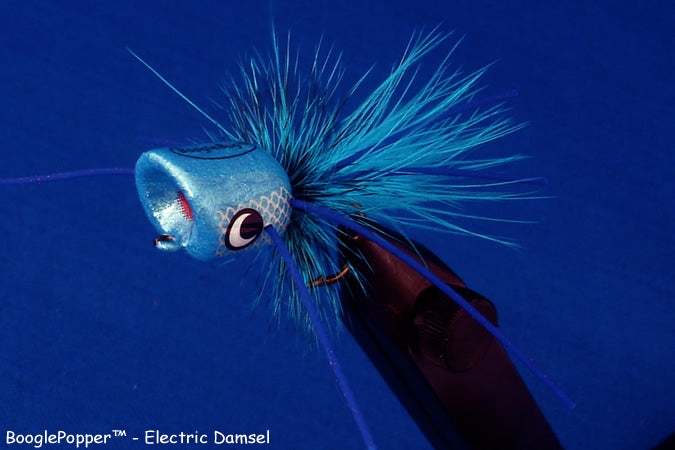 Boogle Bug Popper