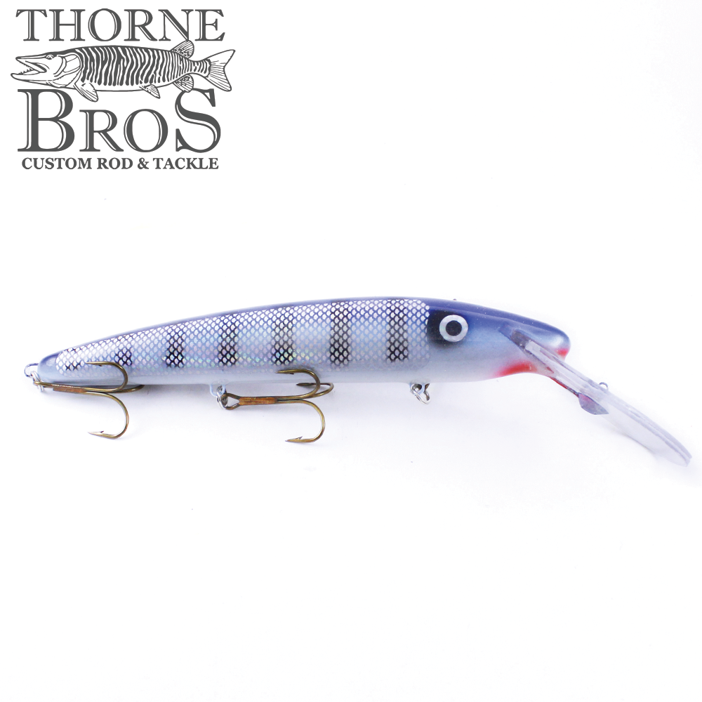 Slammer 10" Deep Minnow (7033167937)