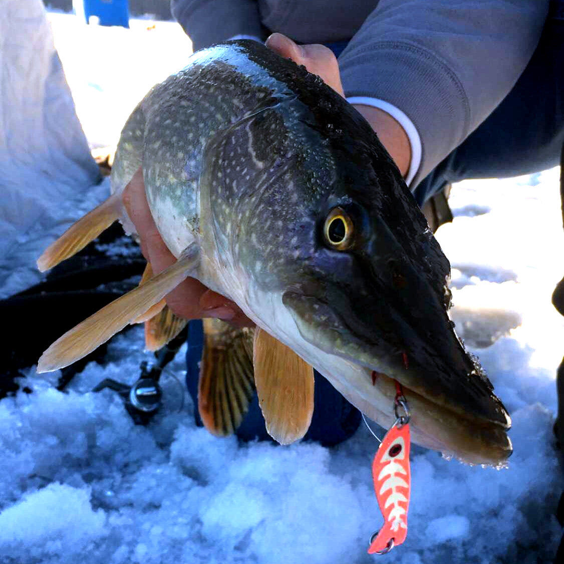 JB Lures Ghost Spoon
