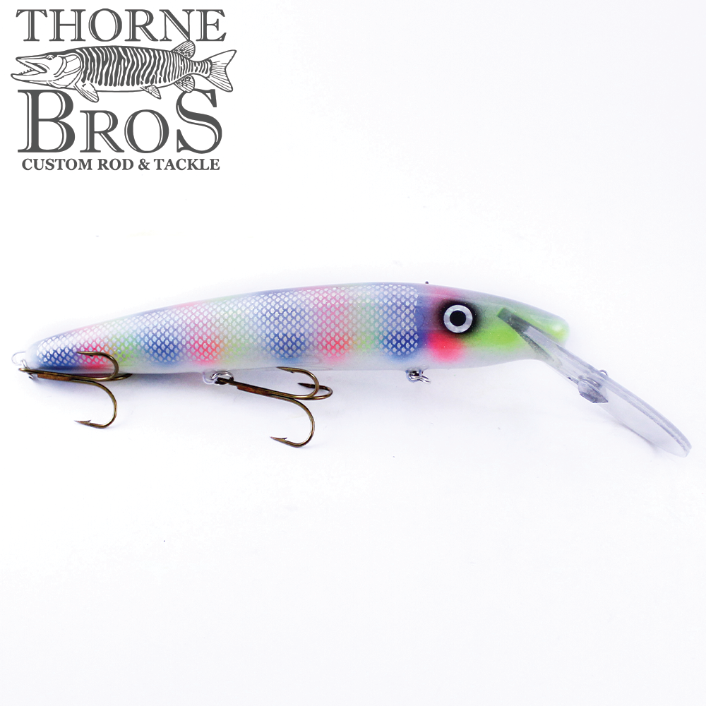Slammer 10" Deep Minnow (7033167937)