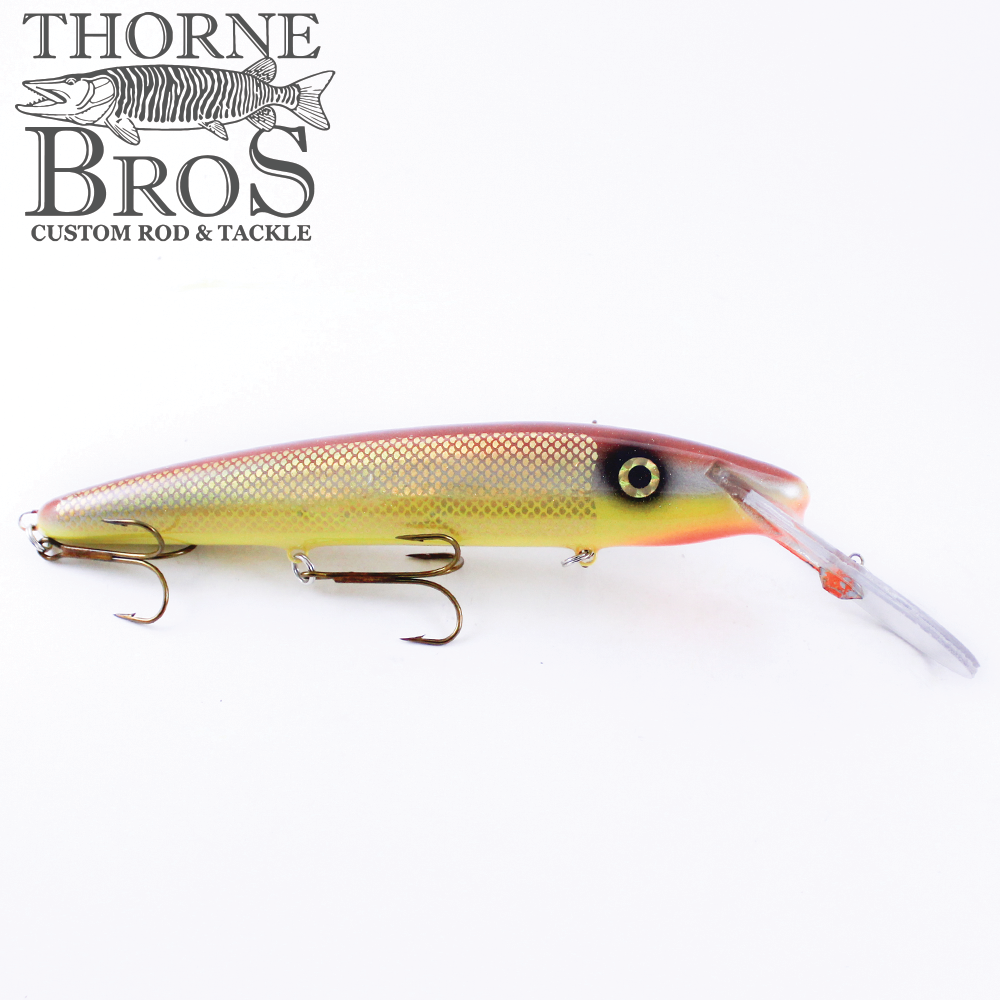 Slammer 10" Deep Minnow (7033167937)