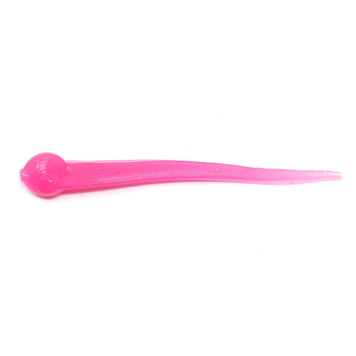 Clam Polli XL